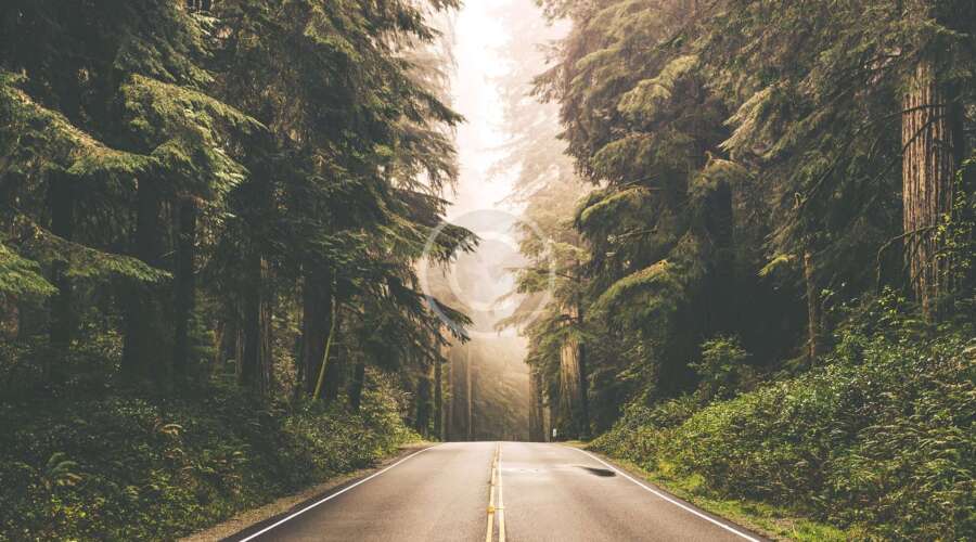 Our Guides Help You Discover New Places