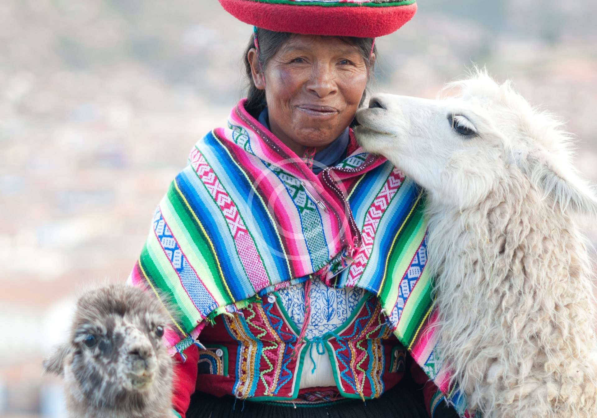 Machu Picchu Natural Habitat
