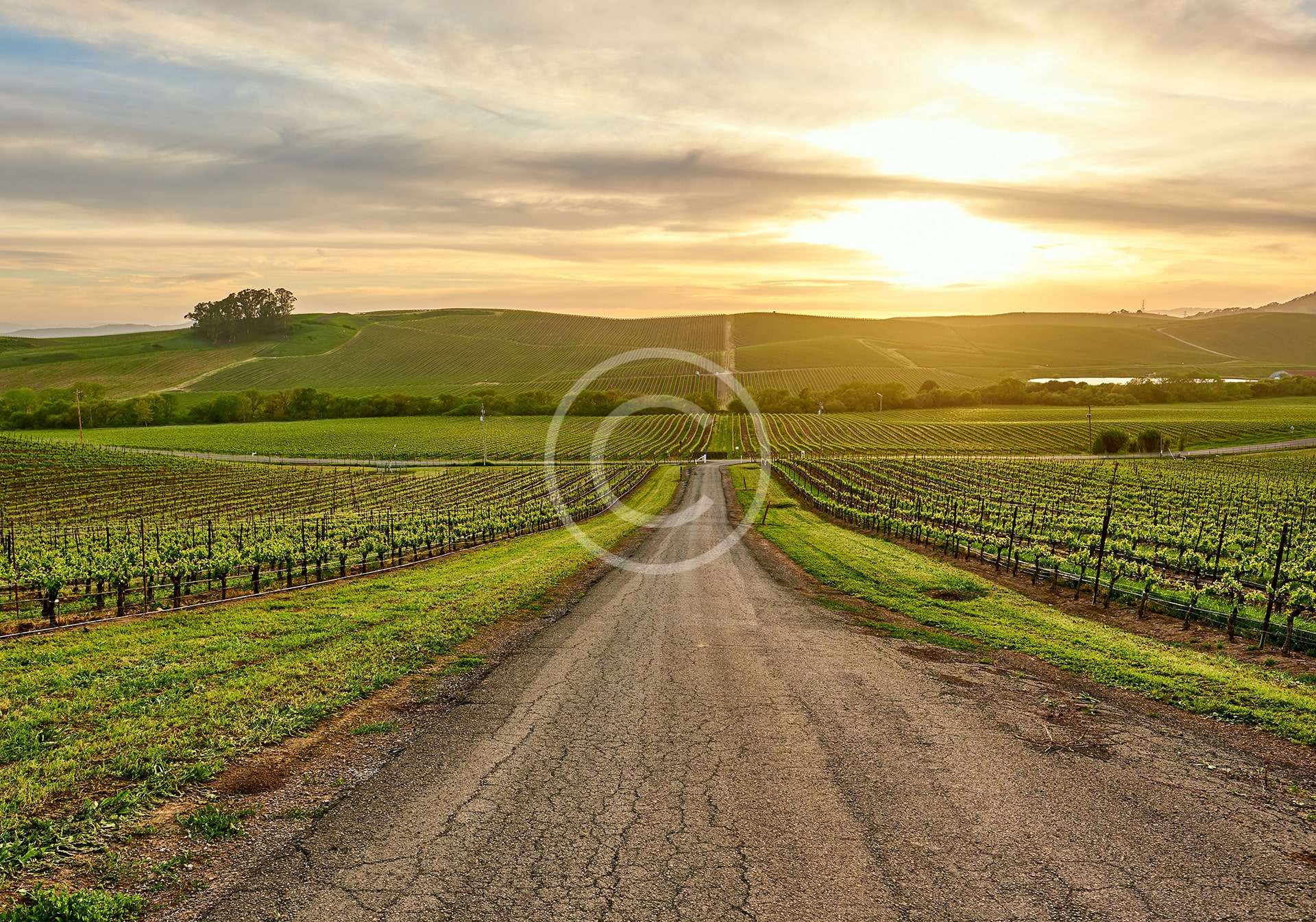 Parks, Vineries, Valleys